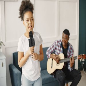 Bluetooth Karaoke mikrofon WS-858 (BBL) - Image 3