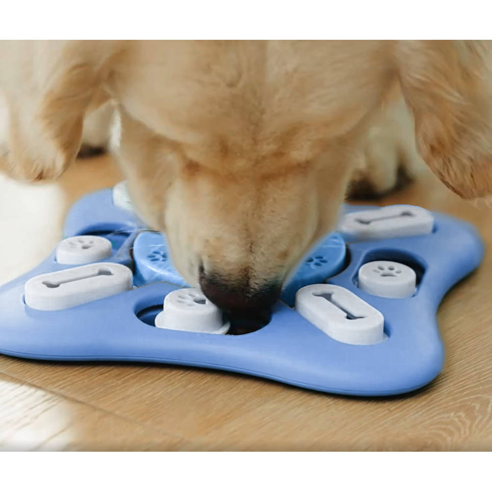 Fejlesztő, játékos kutya etetőtál – 25,5 x 25,5 x 2,5 cm, kék-fehér színben (BB-20386) (8)