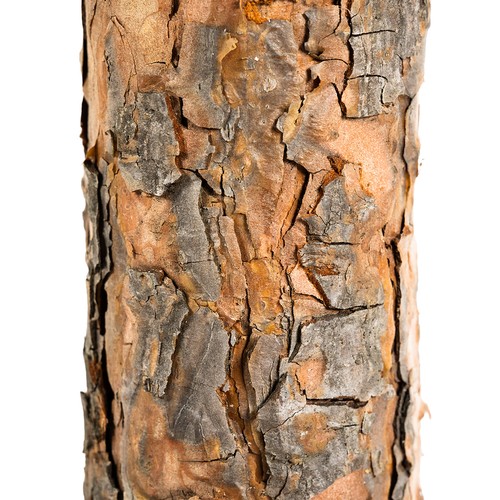 160 cm-es havas hatású prémium műfenyő – 3D hatású fából készült törzzsel és karácsonyfa talppal (BB-19962) (3)