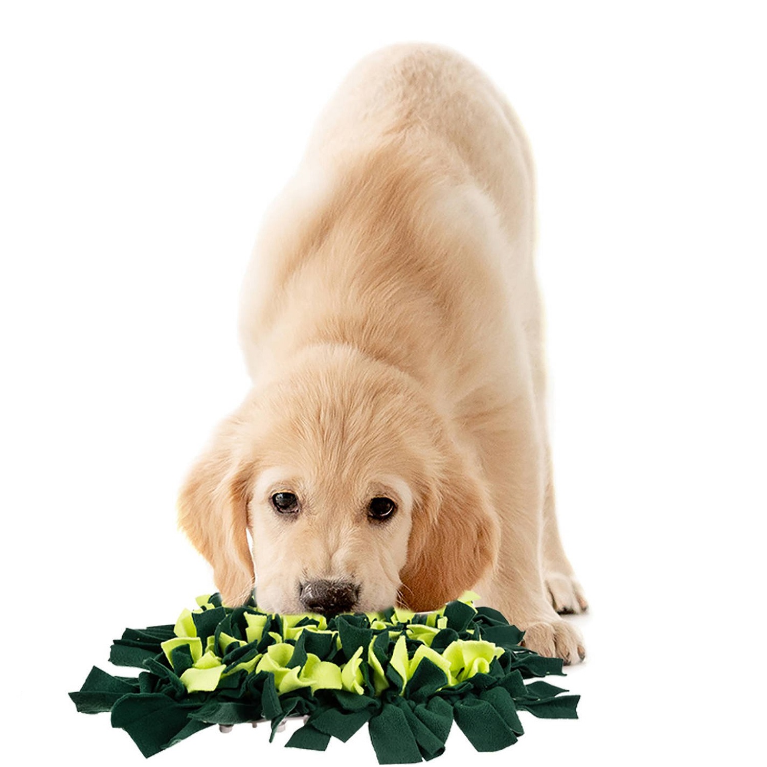 Szaglást fejlesztő kutya játék, szimatszőnyeg – serkenti a koncentráció képességét – 45 x 45 x 5 cm (BB-15245) (1)