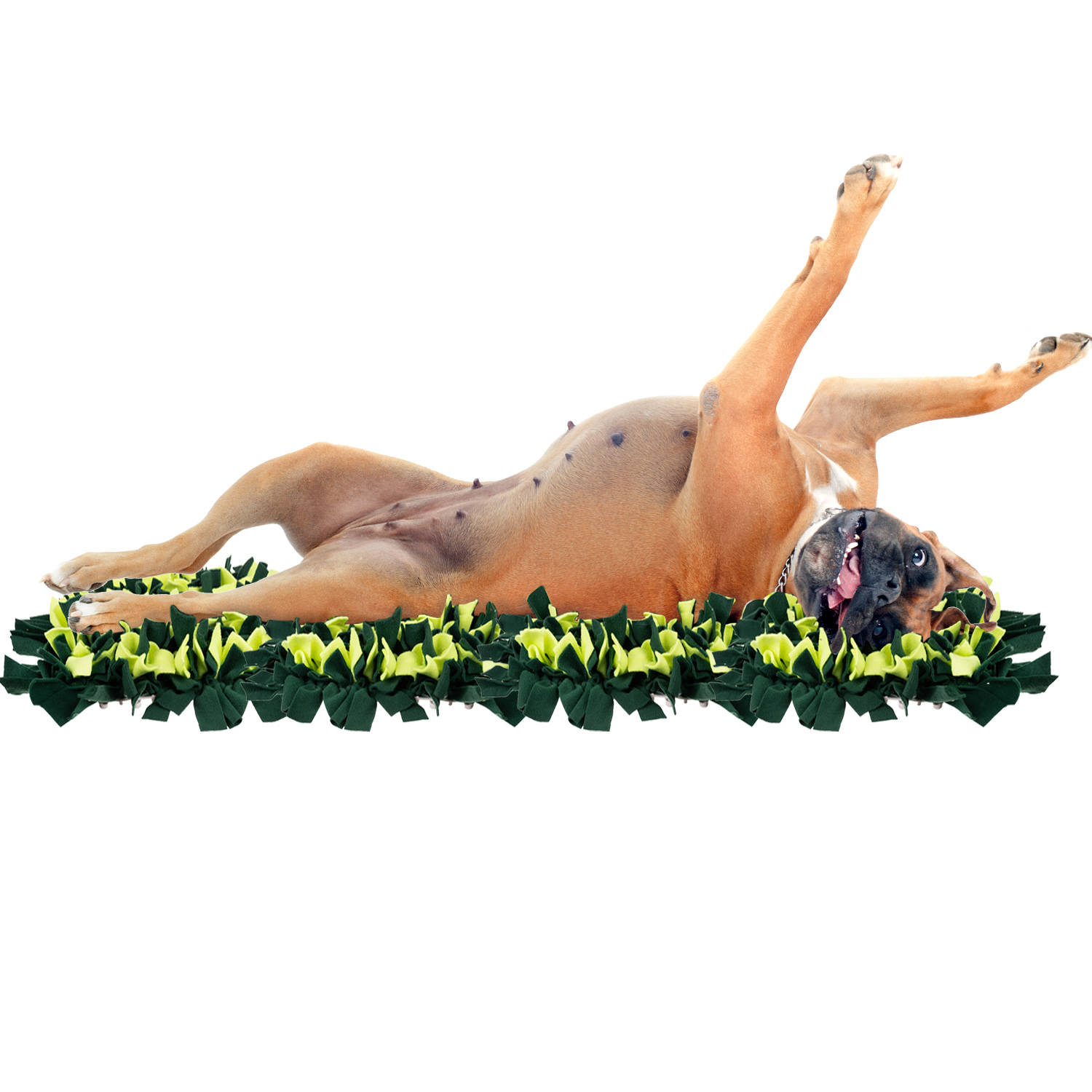 Szaglást fejlesztő kutya játék, szimatszőnyeg – serkenti a koncentráció képességét – 45 x 45 x 5 cm (BB-15245) (11)
