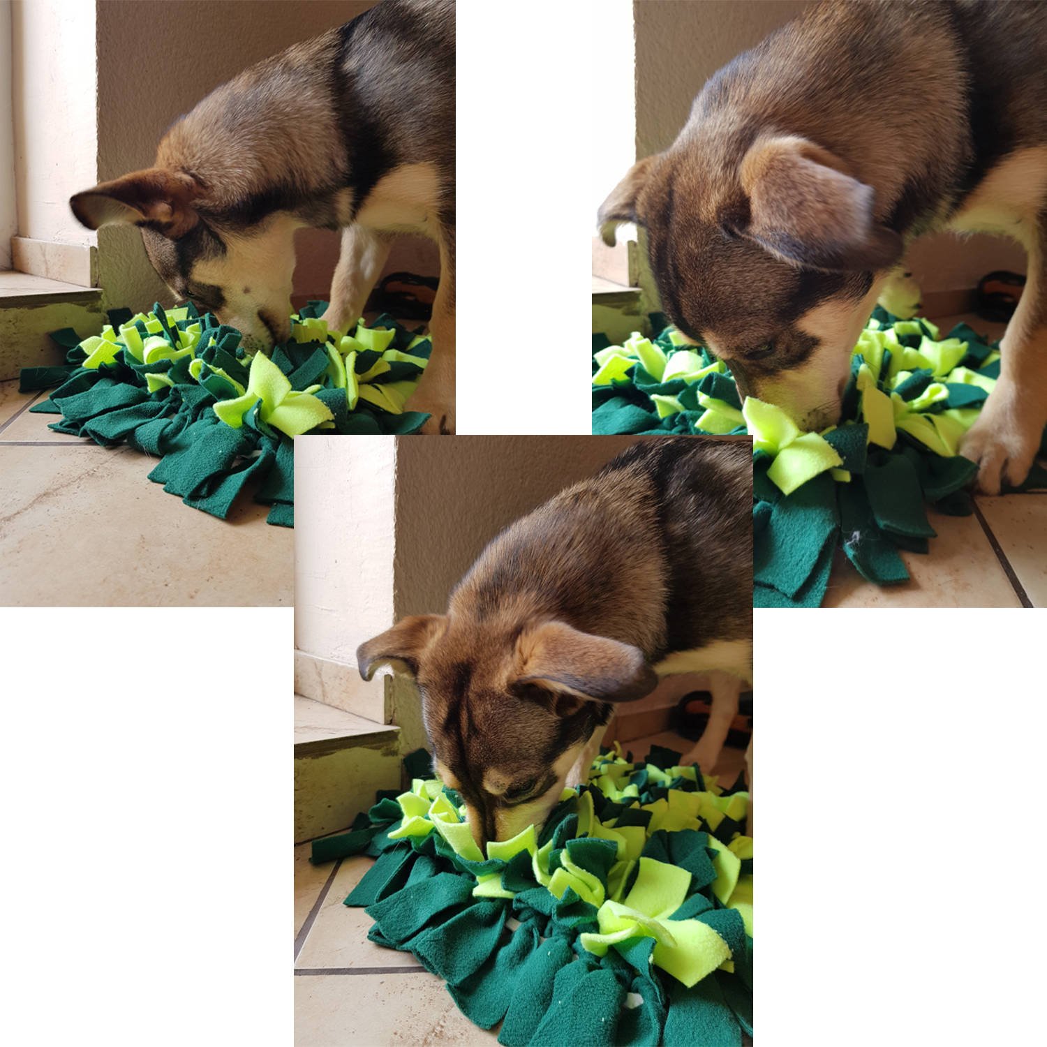 Szaglást fejlesztő kutya játék, szimatszőnyeg – serkenti a koncentráció képességét – 45 x 45 x 5 cm (BB-15245) (2)
